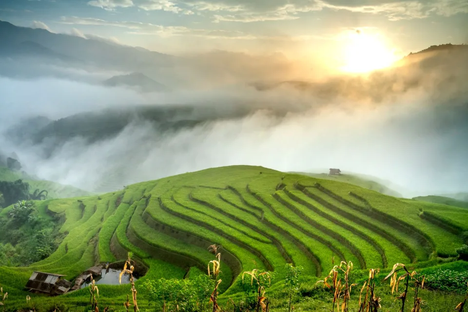 Kho gạo của Thanh Cúc